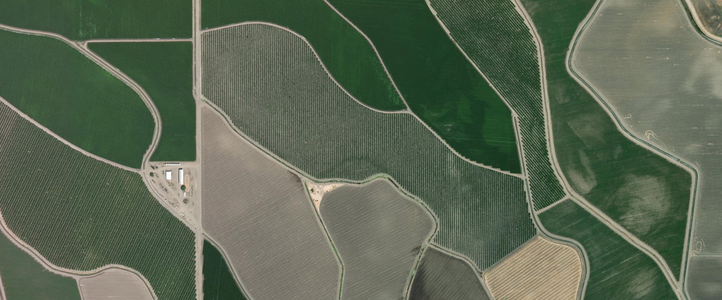 Satellite view of an orchard block among neighbouring fields and farm roads